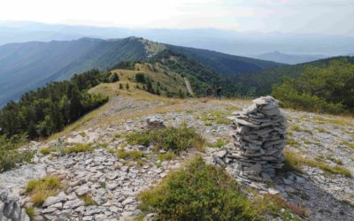 Les paysages de Lure, au cœur des éléments